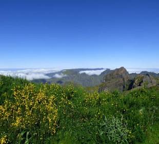 Einzigartige Landschaft