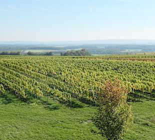 Blick vom Aussichtspunkt Kreuzberg bei Nordheim