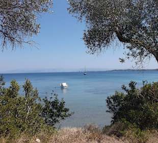 Auf dem Weg zum Palmengarten