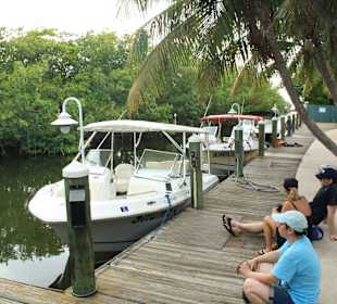 Dolphin Watching and Snorkeling at Key West,FL, 