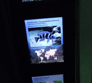 Tierpark Hellabrunn - Fische