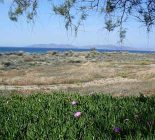 Blick aus dem Restaurant