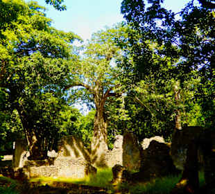 Gedi