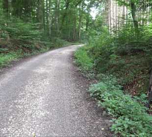 Sonnenaufgangs-Rundwanderung Rübgarten