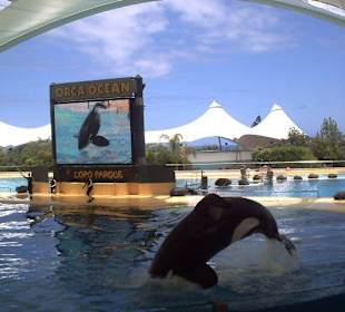Loro Parque