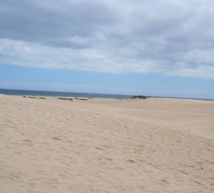 Dünen im Norden der Insel bei Corralejo
