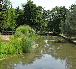 Impressionen aus dem Botanischen Garten Düsseldorf