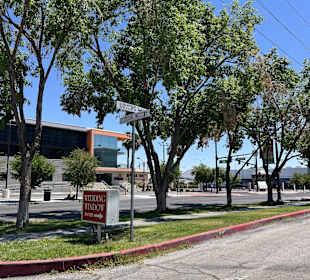 Special Memory Wedding Chapel