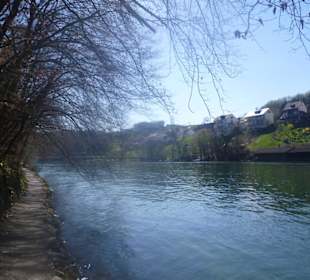 Am Rheinuferweg beim Rheinfall Schaffhausen