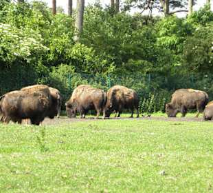 Serengeti Park Hodenhagen