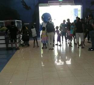 Dolphinarium