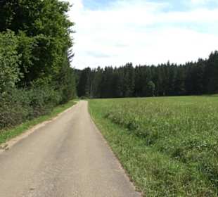 Wanderung Froschteich-Tour