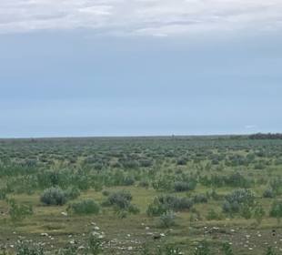 Etosha Park 