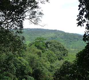 Kinabalu Nationalpark