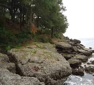 Aussicht von Halbinsel