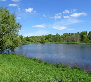 Impressionen vom Rundgang um den Klostersee