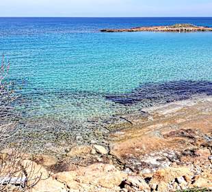 Fig Tree Bay