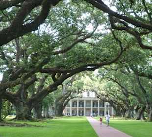 Oak Alley