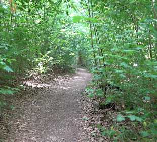 Wandertour Greifensteinrunde