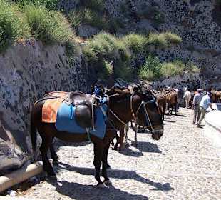 Eselsritt nach Fira