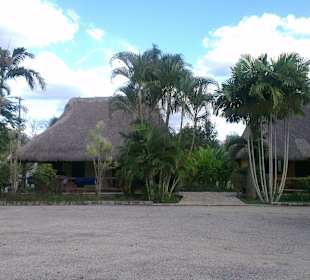 In der Anlage Cenote Ik-Kil