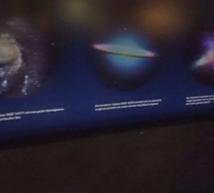 Museum für Naturkunde