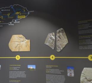 Dinosaurier Museum Altmühltal