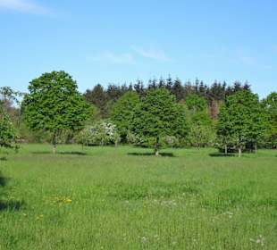 Eindrücke aus dem Wietzepark