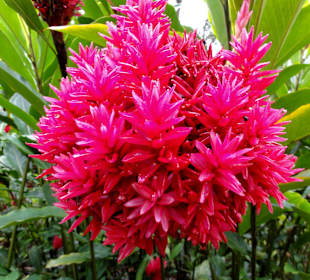 Impressionen aus den Jardins de Valombreuse