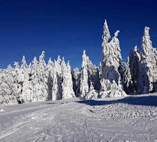 Wandern Mitterfirmiansreut 