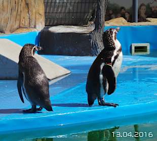 Discovery Park Manavgat