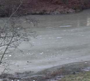 Wanderung rund um den Ochsenweiher