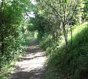 Wanderweg Ammerbucher Gigeleswegle