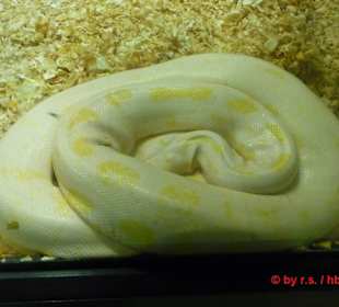 Ohne Anfang, ohne Ende, oder was?