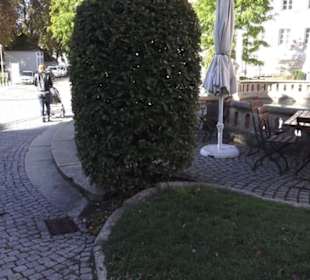 Fürstenberg-Bräustüble