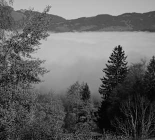 Wandern Hirschegg