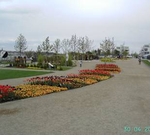Ausblick in den Garten der Sinne