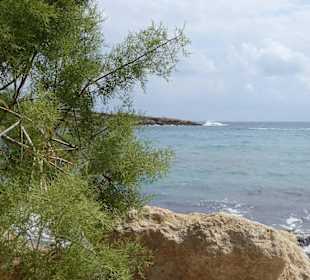 Arapis Coral Bay Restaurant und strand 