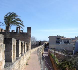 Stadtmauer Alcudia