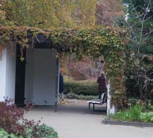 Parkanlage Planten un Blomen