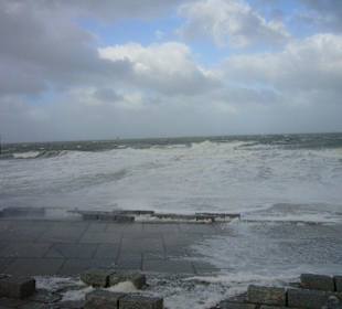 16.Okt. 2009 Windstärke 10?