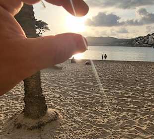 Strand Paguera/Peguera