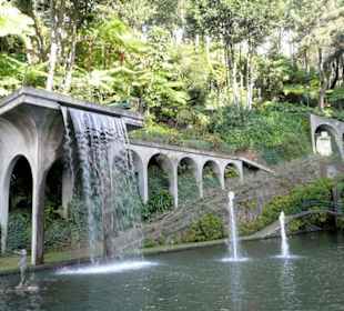 Monte/Tropical Garden