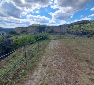Ruine Kyrburg in Kirn