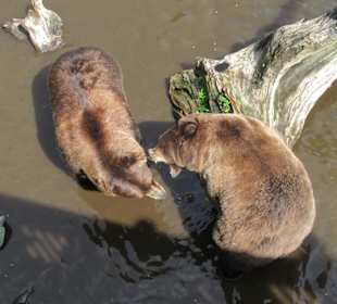 Die zwei sind keine Freunde