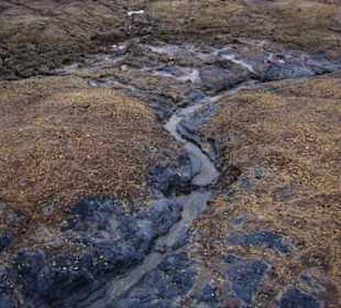 Lavalandschaft