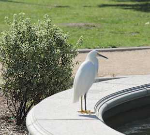 Beverly Gardens Park