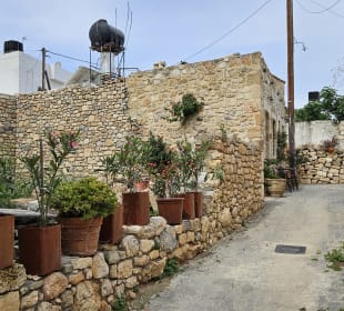 Alt Hersonissos