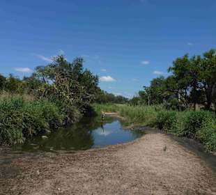 Krüger Nationalpark