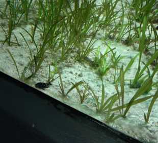 Tierpark Hellabrunn - Fische